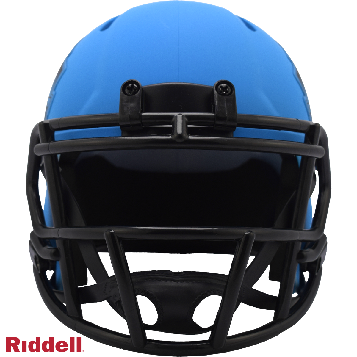 NFL Hall of Fame Helmet Riddell Replica Mini Speed Style Rave Alternate
