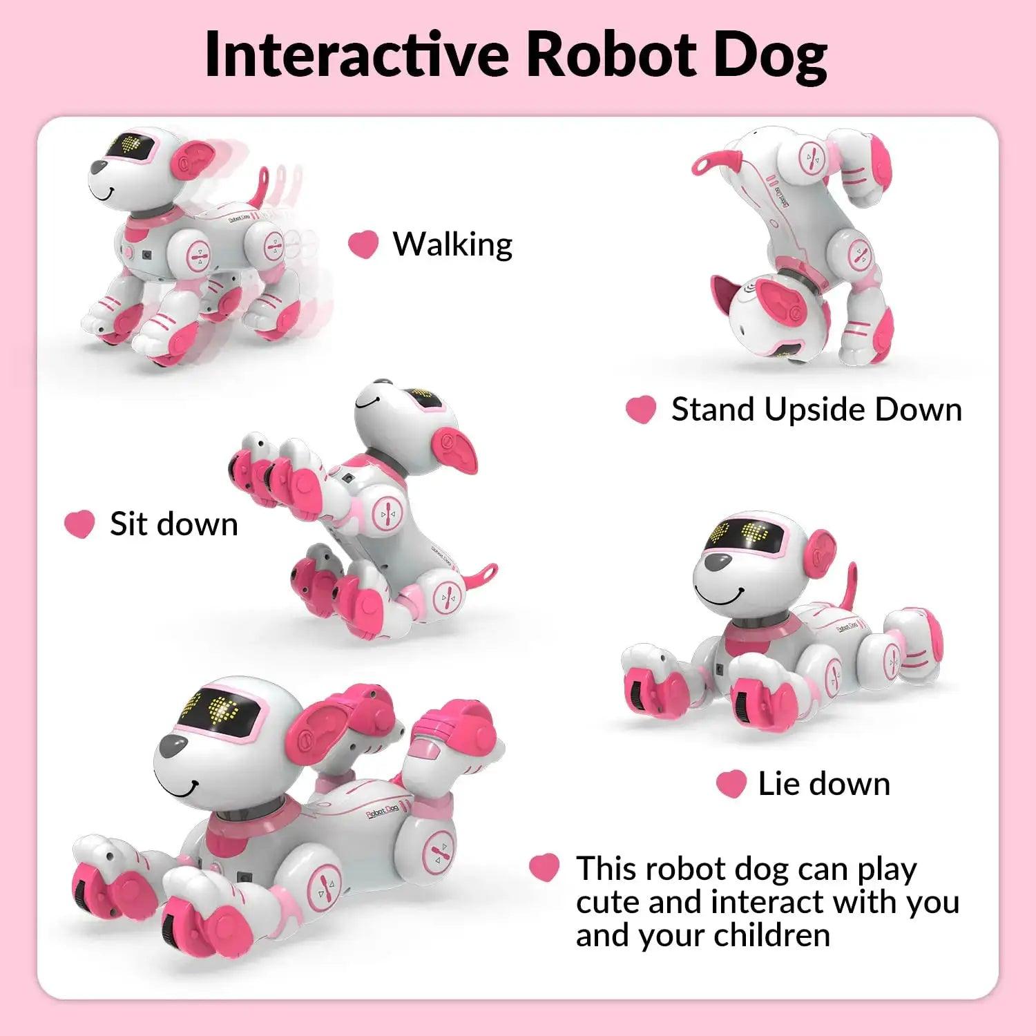  Robot Dog Toy With Remote Control Dancing Tricks For Kids -  ToylandEU™