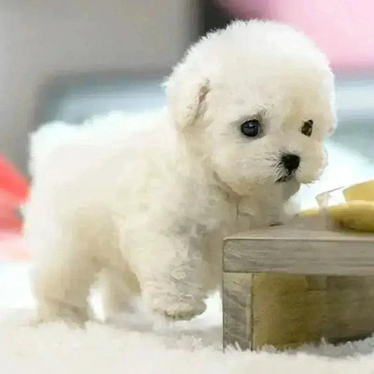  Robot Puppy Walking Toy Plush With Realistic Bark -  ToylandEU™
