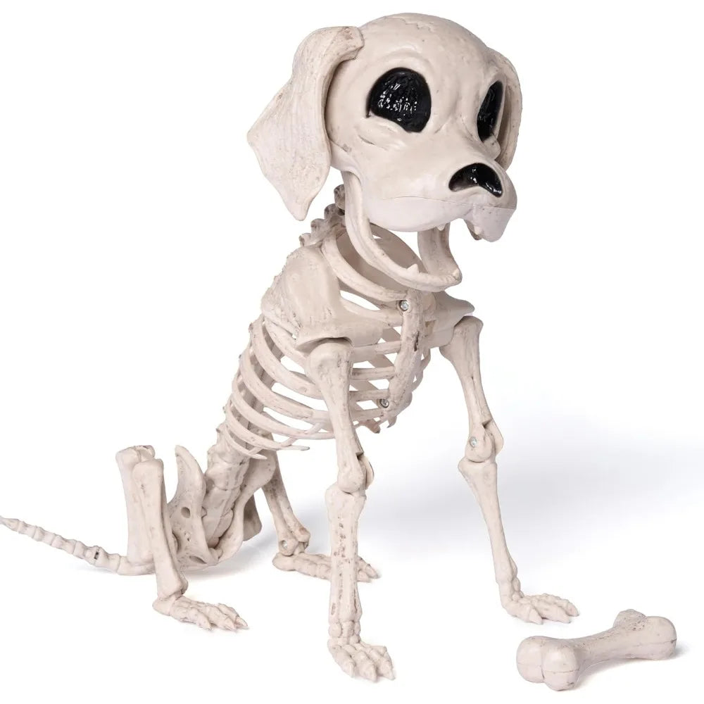 Halloween Dog Skeleton | Poseable Full Body | Realistic Design | Small 12 Inch