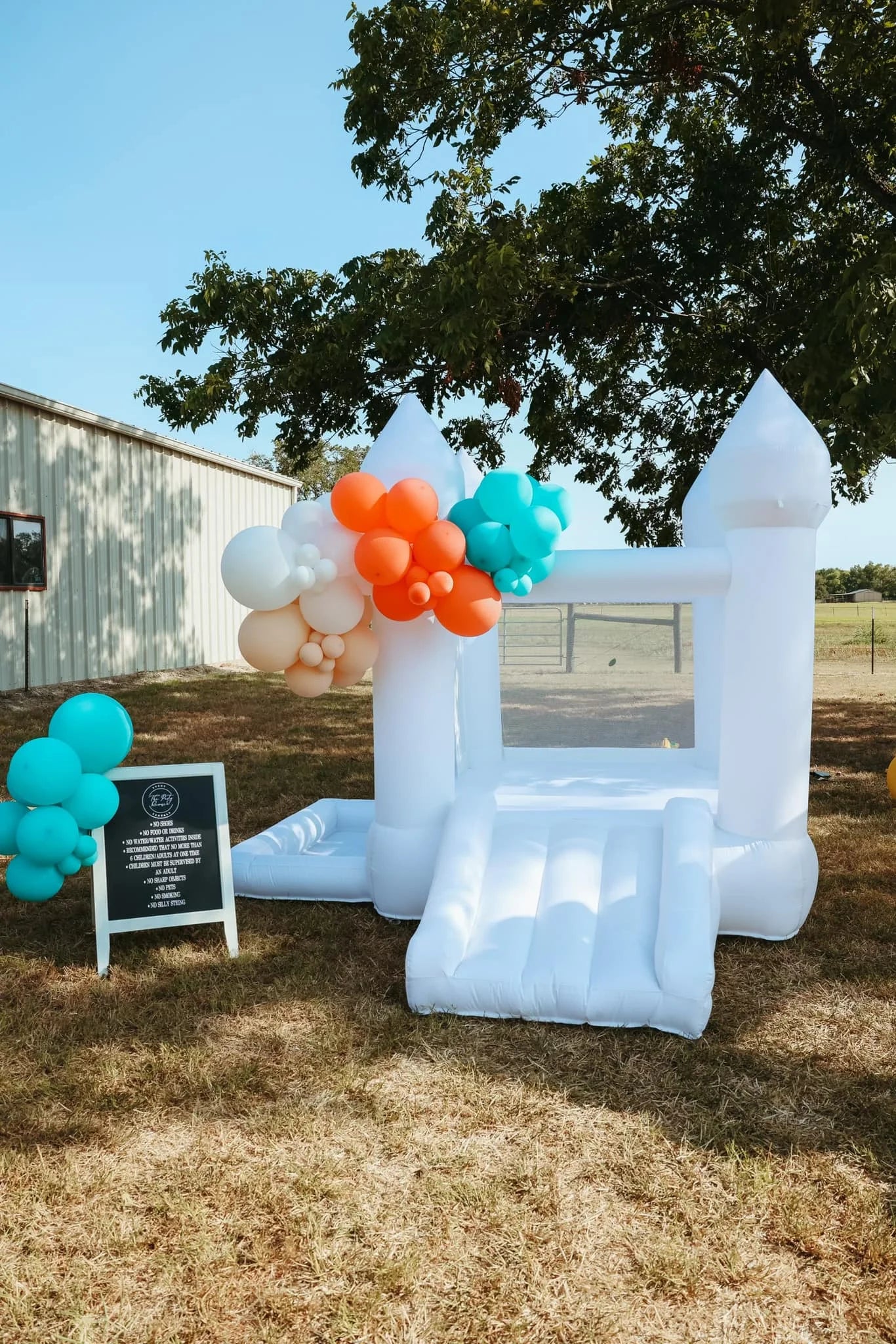 Durable 9Ft Arch Inflatable Bounce Castle With Ball Pit