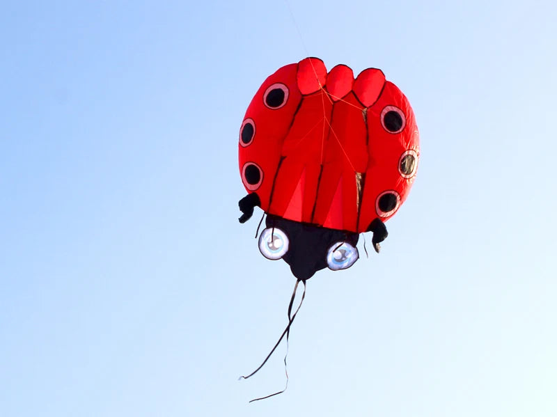 Large Ladybug 3D Soft Kite with Free Shipping for Outdoor Flying - ToylandEU