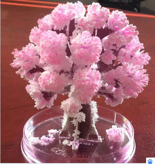Enchanting Sakura Crystal Tree Science Toy - Cherry Blossom Novelty Product ToylandEU.com Toyland EU