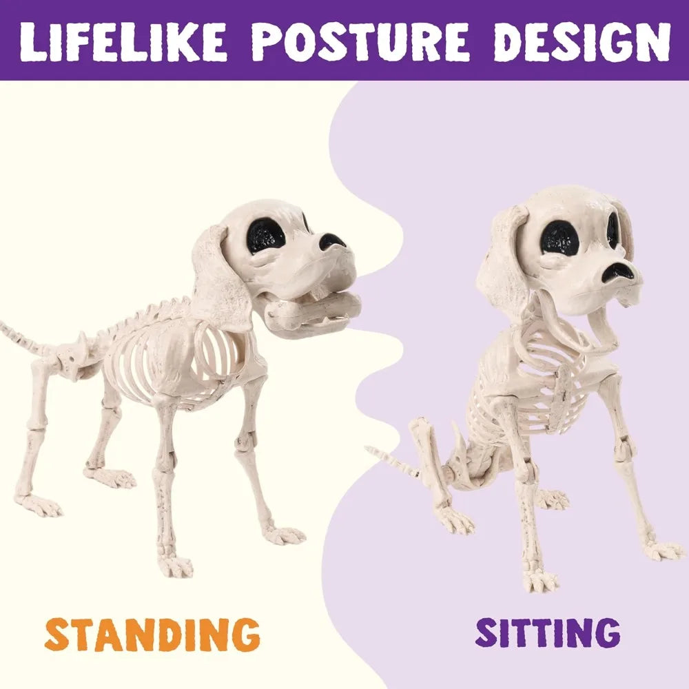 Halloween Dog Skeleton | Poseable Full Body | Realistic Design | Small 12 Inch