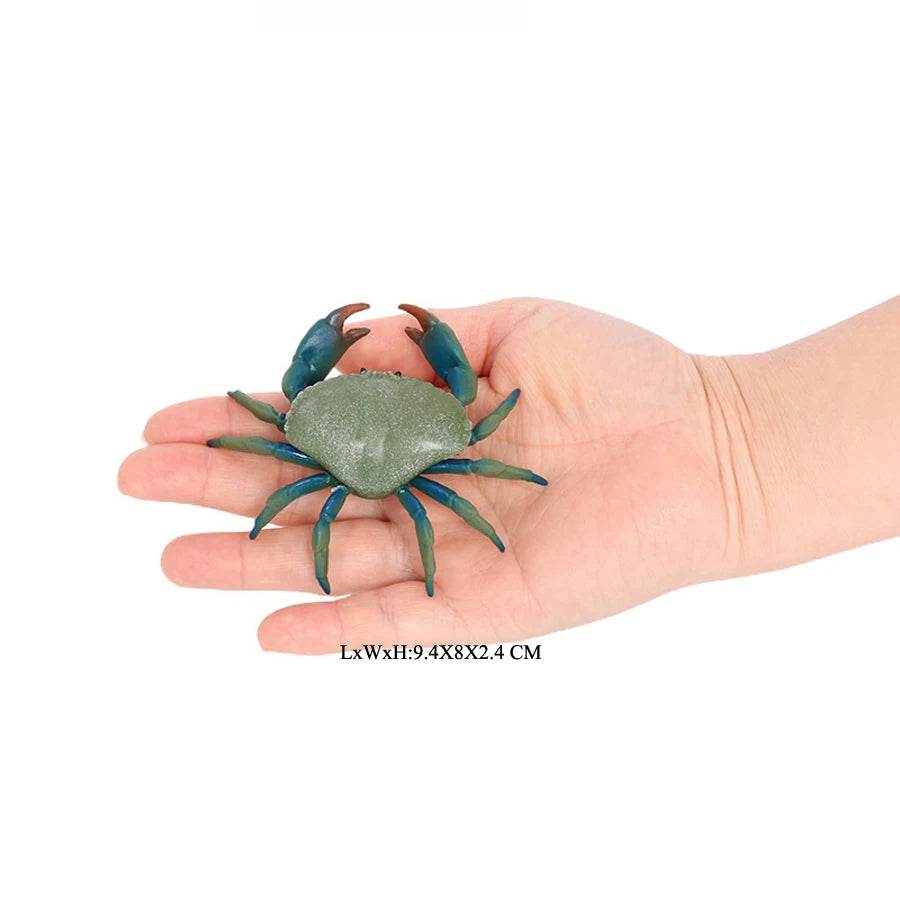 Realistic Sea Life Figurines Hermit Crab King Crab Display - ToylandEU