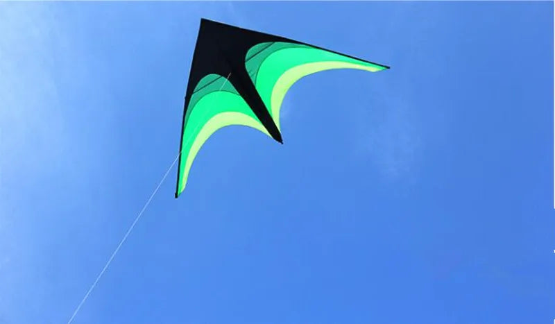 Large Delta Kite for Kids with 100m Handle Line and CE/EN71 Certificates