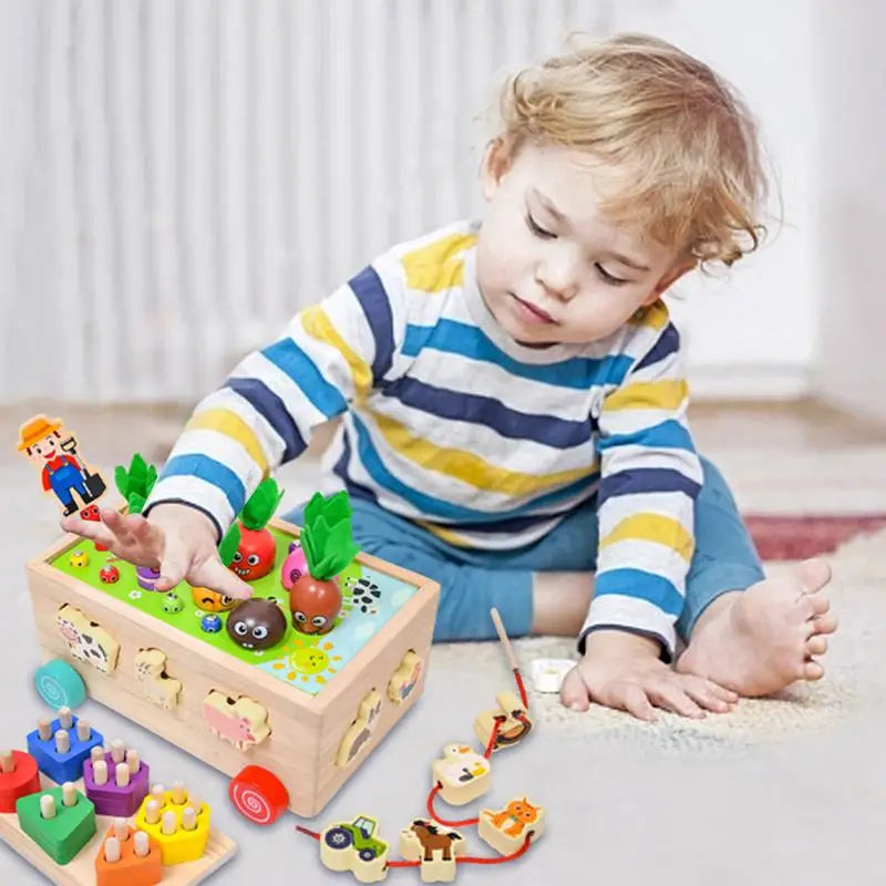 Engaging Montessori Carrot Harvest Sorting Toy for Pre-K Kids Fun