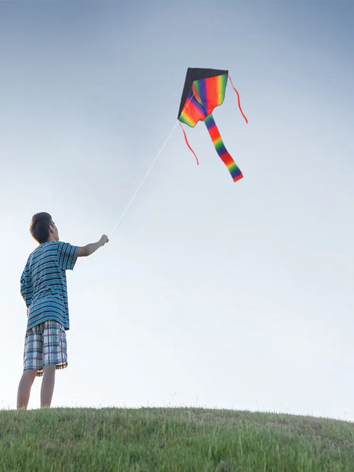 Rainbow Kite - A Colorful Outdoor Toy for Children ToylandEU.com Toyland EU