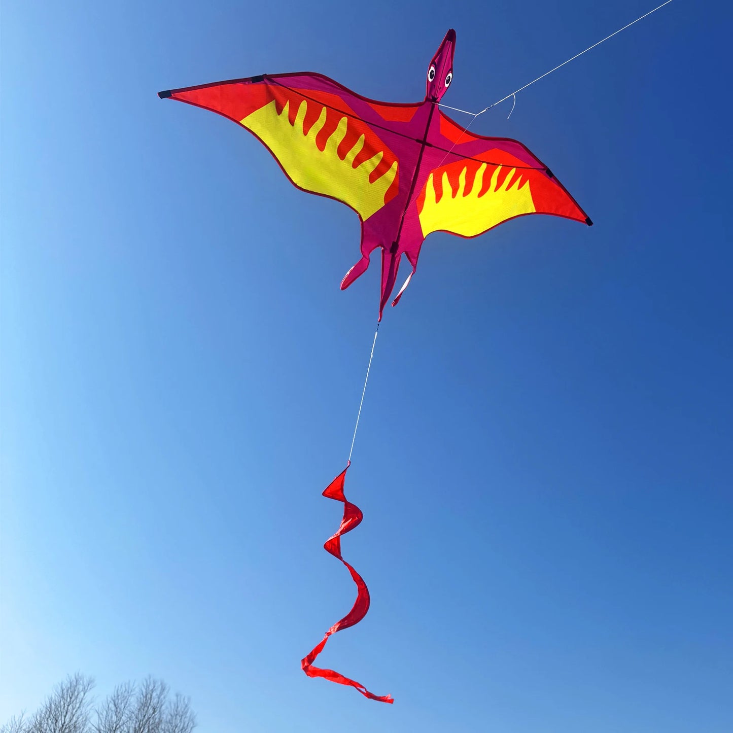 Dragon Kite | 63 Inch | Single Line With Handle | For Beginners