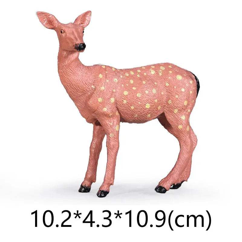 NEW Wild Animal Zoo Tiger Kangaroo Elephant Snake Bear Deer Koala Squirrel Model Figurine Collecta Toy Figures Gift for Children - ToylandEU