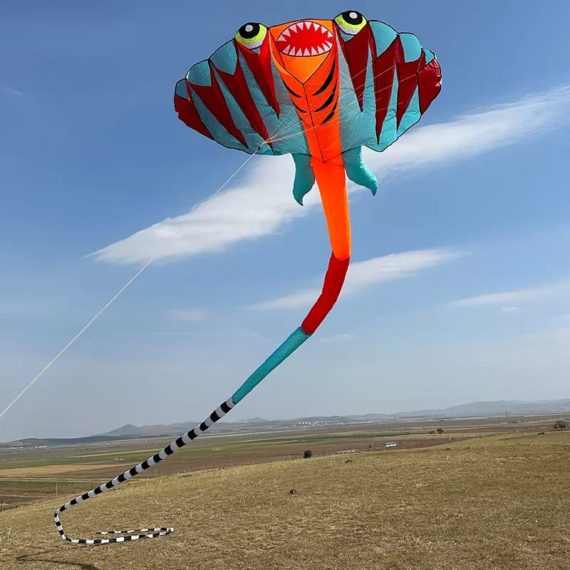 Kite | Size 12.5M | 2 Color Ray Soft Kite | Outdoor Beach