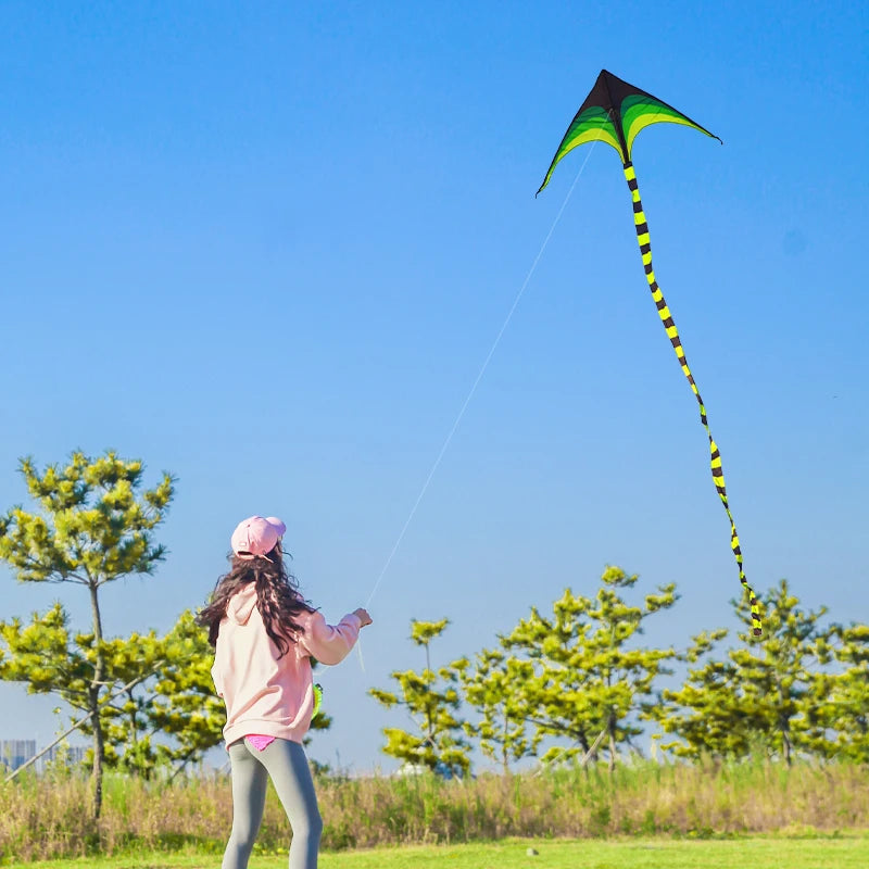 Large Green Delta Kite with 6m Tail - Easy-to-Fly Outdoor Toy for Kids and Adults - ToylandEU