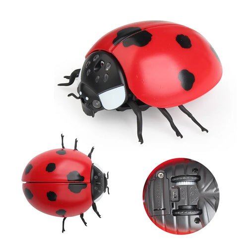 RC Insect Prank Toy for Kids and Pets with Remote Control ToylandEU.com Toyland EU