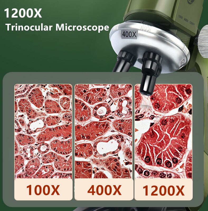 Child's Microscope with LED Light and Educational Kit