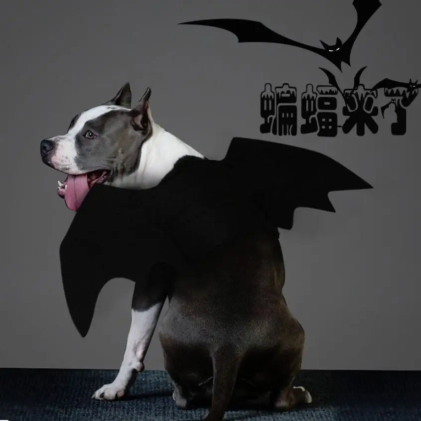 Adorable Halloween Bat Wings Costume for Cats & Dogs - Unisex Fun!