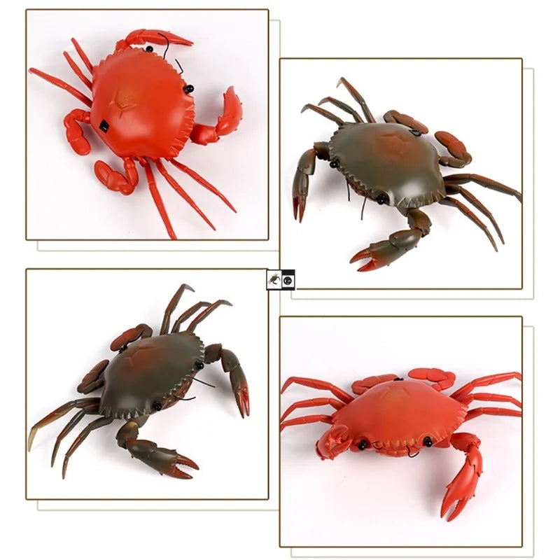 Educational Electric RC Crab Toy With Light Remote Control