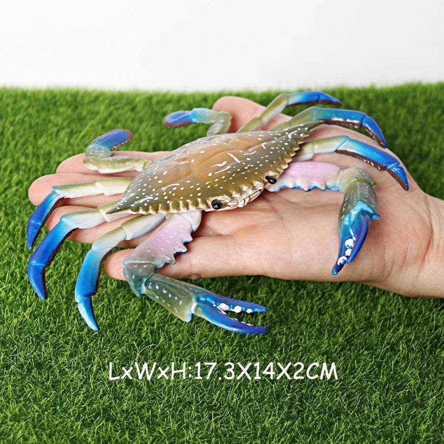 Realistic Sea Life Figurines Hermit Crab King Crab Display - ToylandEU