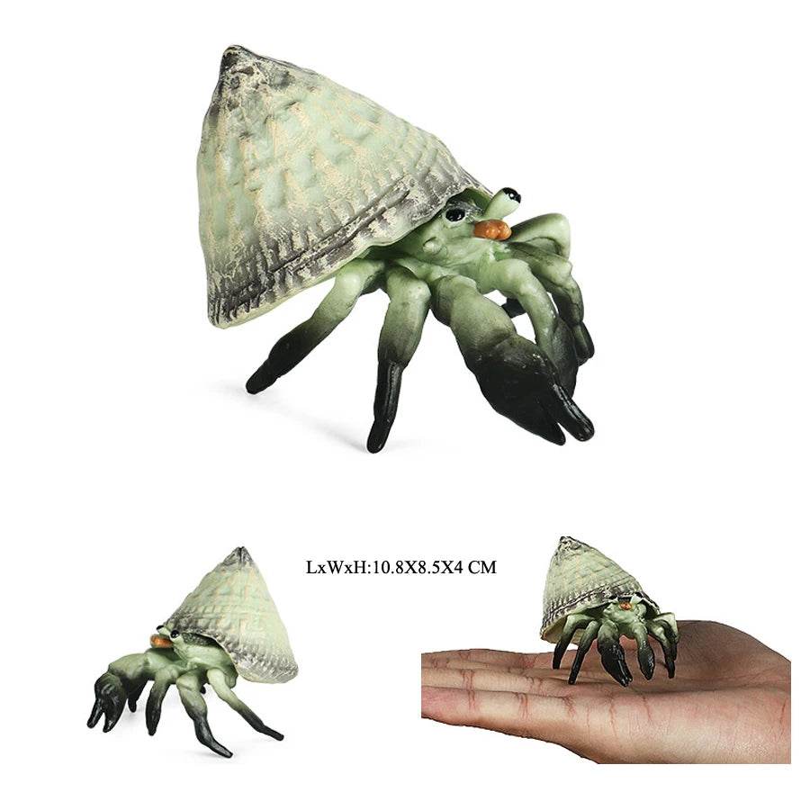 Realistic Sea Life Figurines Hermit Crab King Crab Display - ToylandEU
