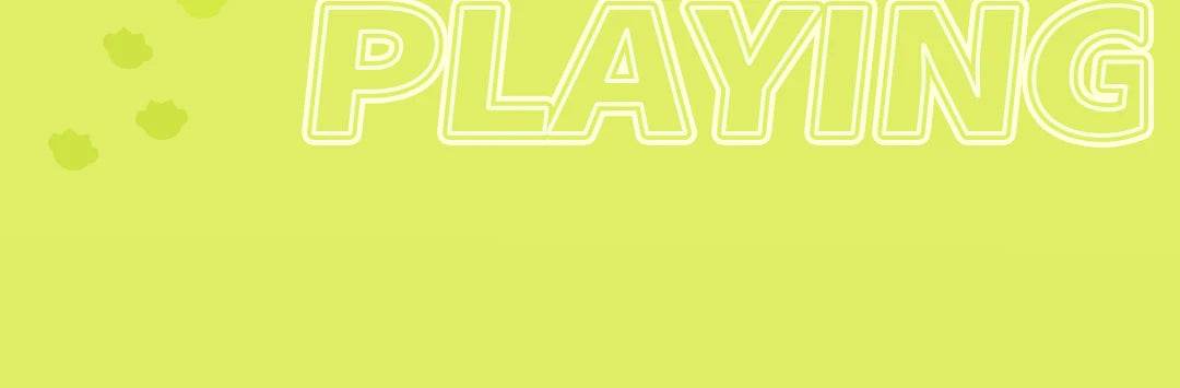 DBS Whole Box Collectible Doll Maytree 18cm BJD Doll - ToylandEU