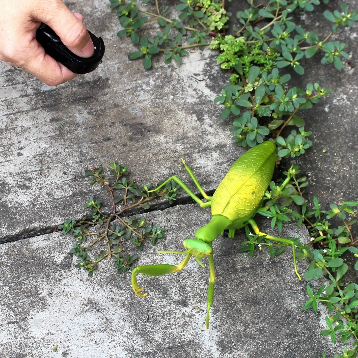 Remote Control Electric Insect Robots - Fun Kids' Prank & Antistress Toy