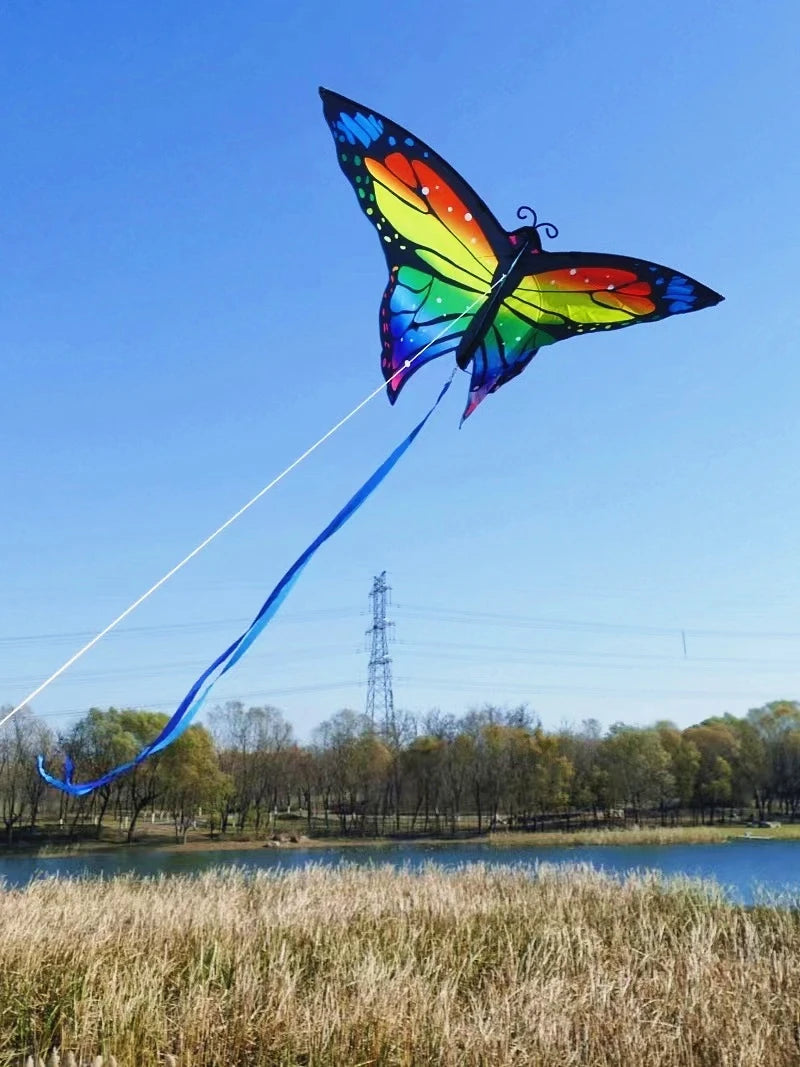 Kite | Butterfly Shaped Animal Kite | Line And Handle Included