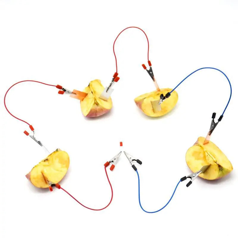 Potato Fruit Bioenergy Science Experiment Kit for Children - ToylandEU