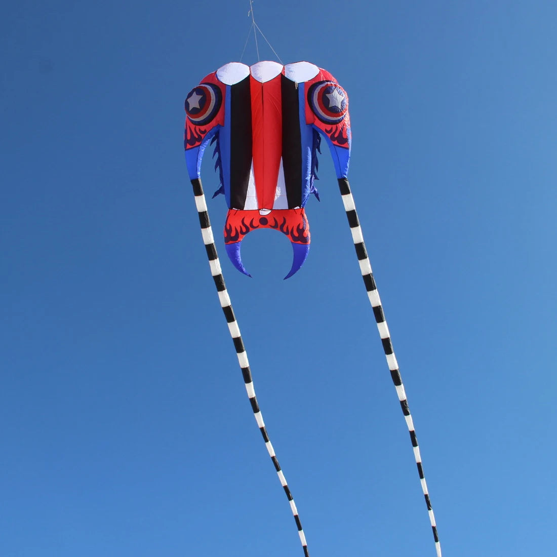 Trilobite Kite Large Single Line Parafoil Kite Line Laundry for 7㎡~16㎡ - ToylandEU