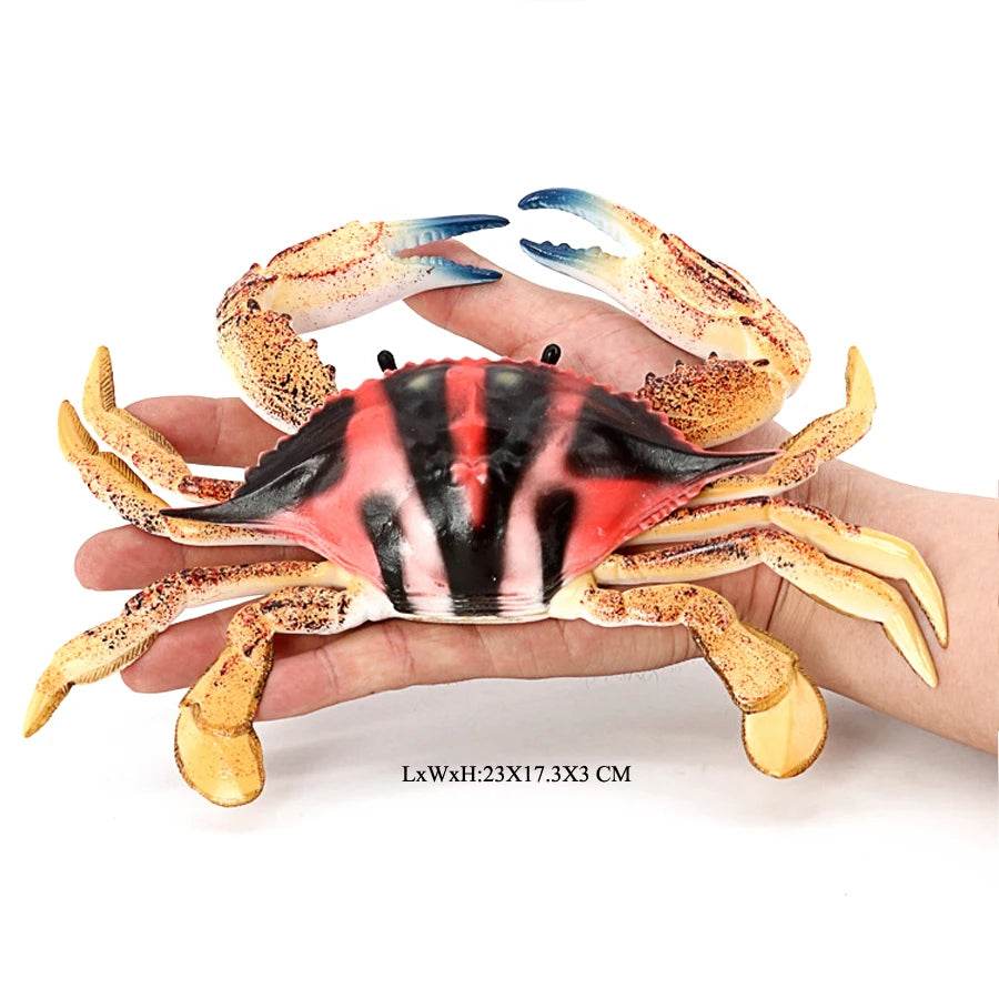 Realistic Sea Life Figurines Hermit Crab King Crab Display - ToylandEU