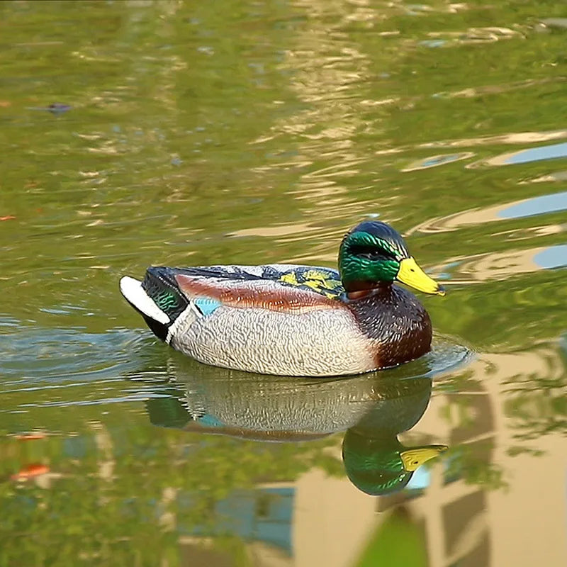 Adorable Duck Themed 2.4G RC Speedboat for Kids - Fun Water Adventures