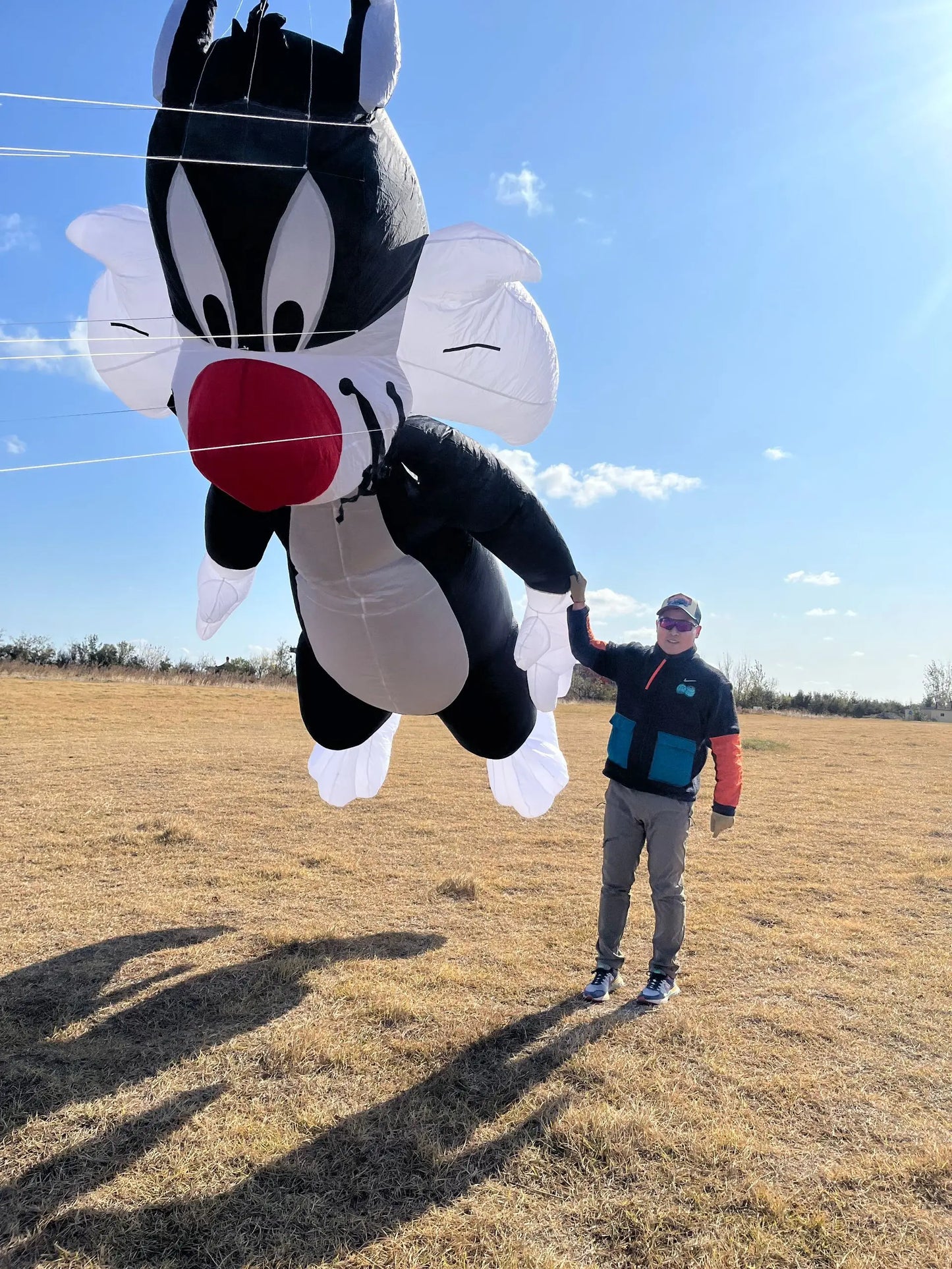 Kite | 5m Length | 40D Ripstop Nylon | Cartoon Cat Design