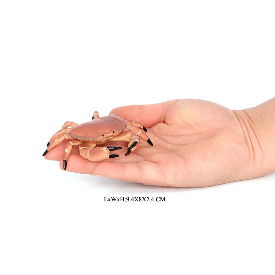 Realistic Sea Life Figurines Hermit Crab King Crab Display - ToylandEU
