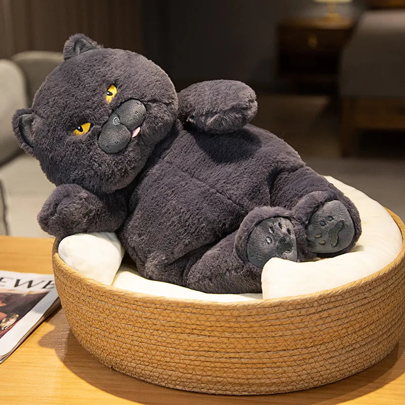 Realistic Black Cat Plush Stuffed Animal Toy for Boys - Offered in Various Sizes - ToylandEU