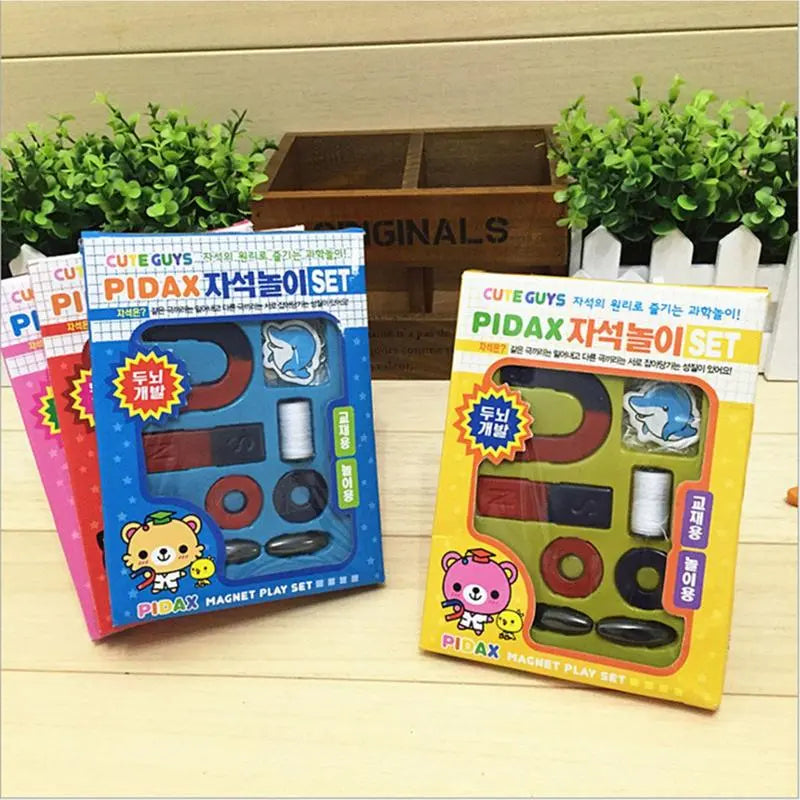 Magnets Set for Basic Physics Learning and Science Experiments - ToylandEU