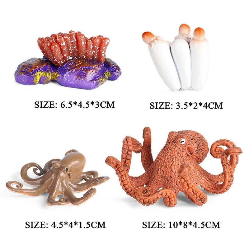 Educational Marine Life Model Set Squid And Octopus Growth Cycle Simulation For Kids - ToylandEU