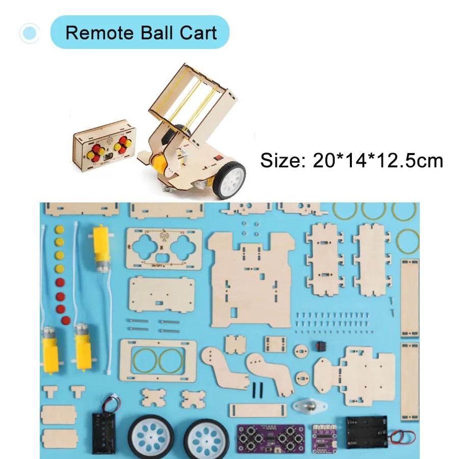 DIY Physical Model Science Experiment Educational Toy for Kids - ToylandEU