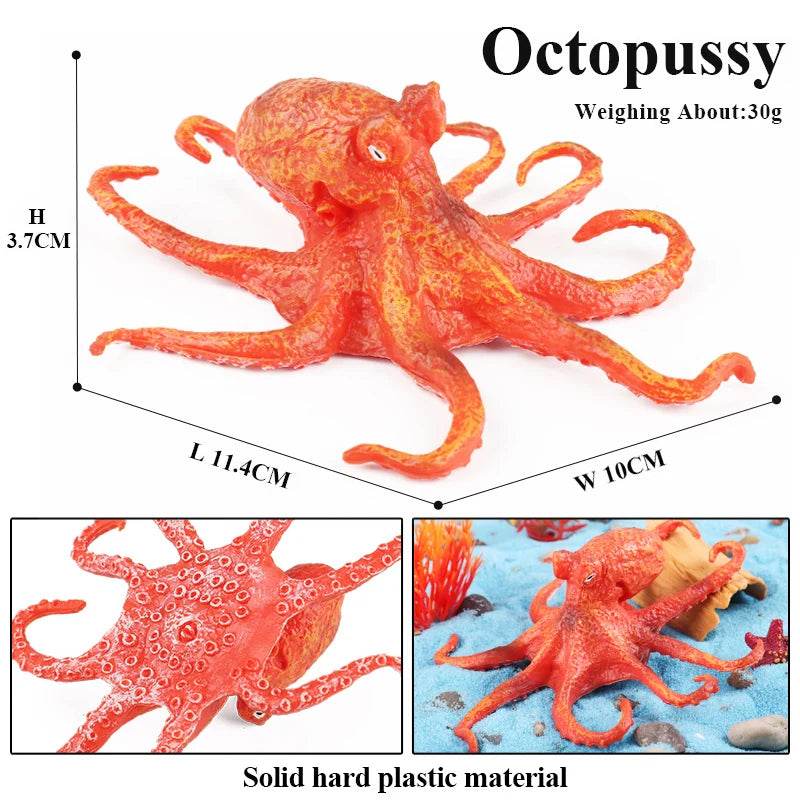 Educational Marine Life Model Set Squid And Octopus Growth Cycle Simulation For Kids - ToylandEU