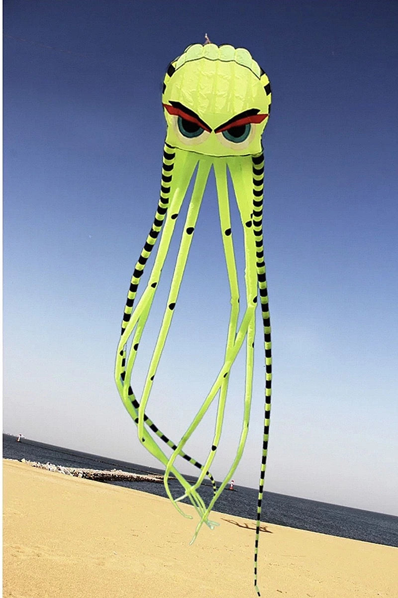 Kite | 8m Octopus Power Kite | Ripstop Nylon | Multicolor