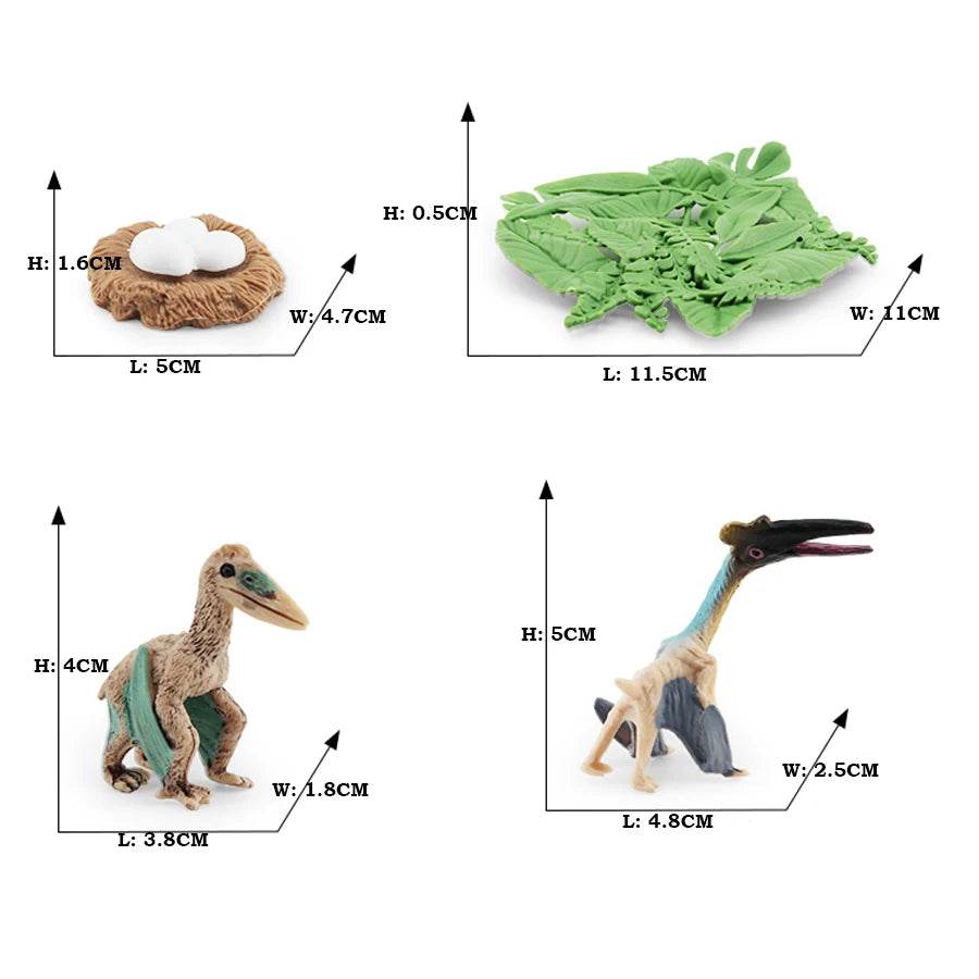 Educational STEM Toy Animal Life Cycle 4 Stage Kit For Kids - ToylandEU