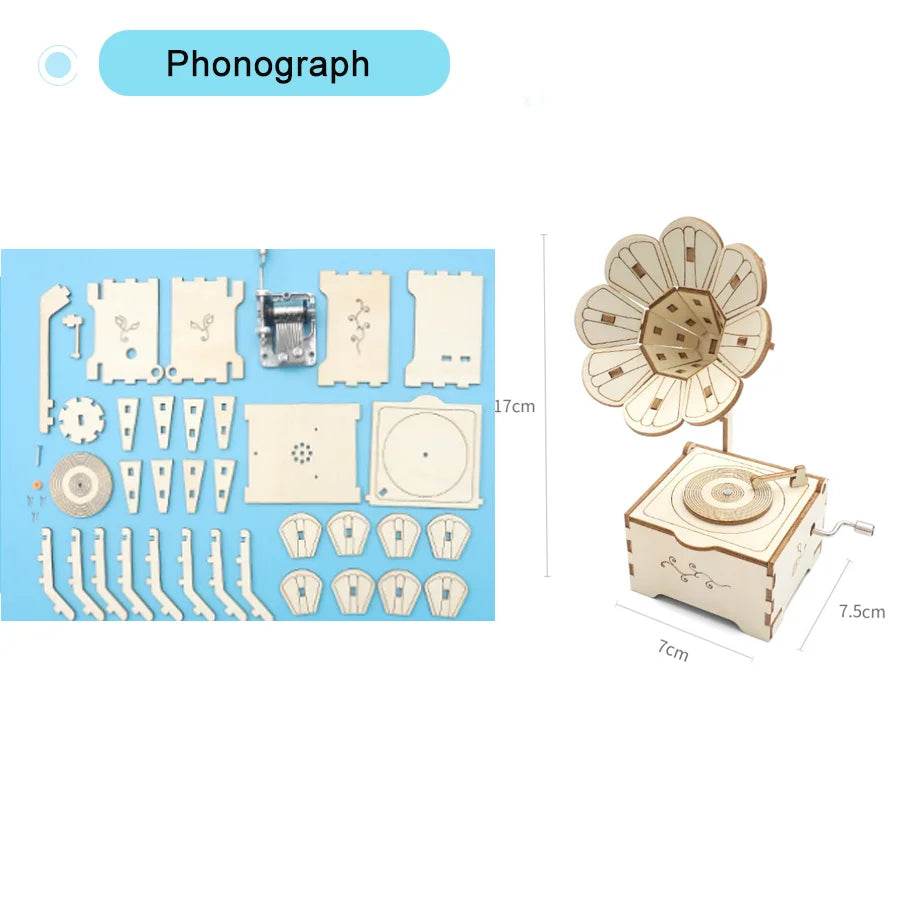 DIY Physical Model Science Experiment Educational Toy for Kids - ToylandEU