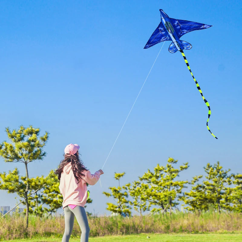 Plane Kite | Handle and Line Included | Polyester Material