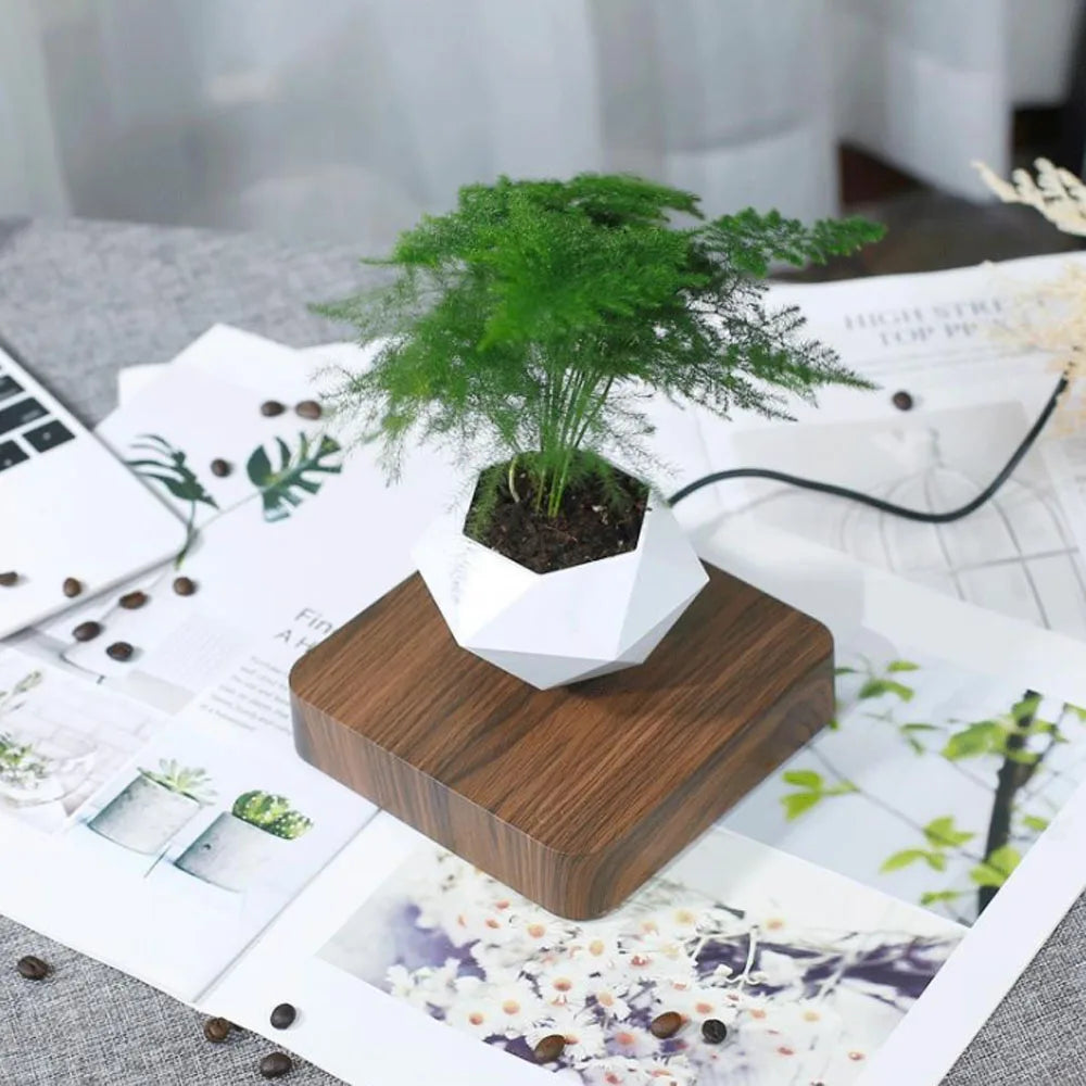 Levitating Magnetic Floating Plant Pot with Rotating Bonsai Planters - ToylandEU