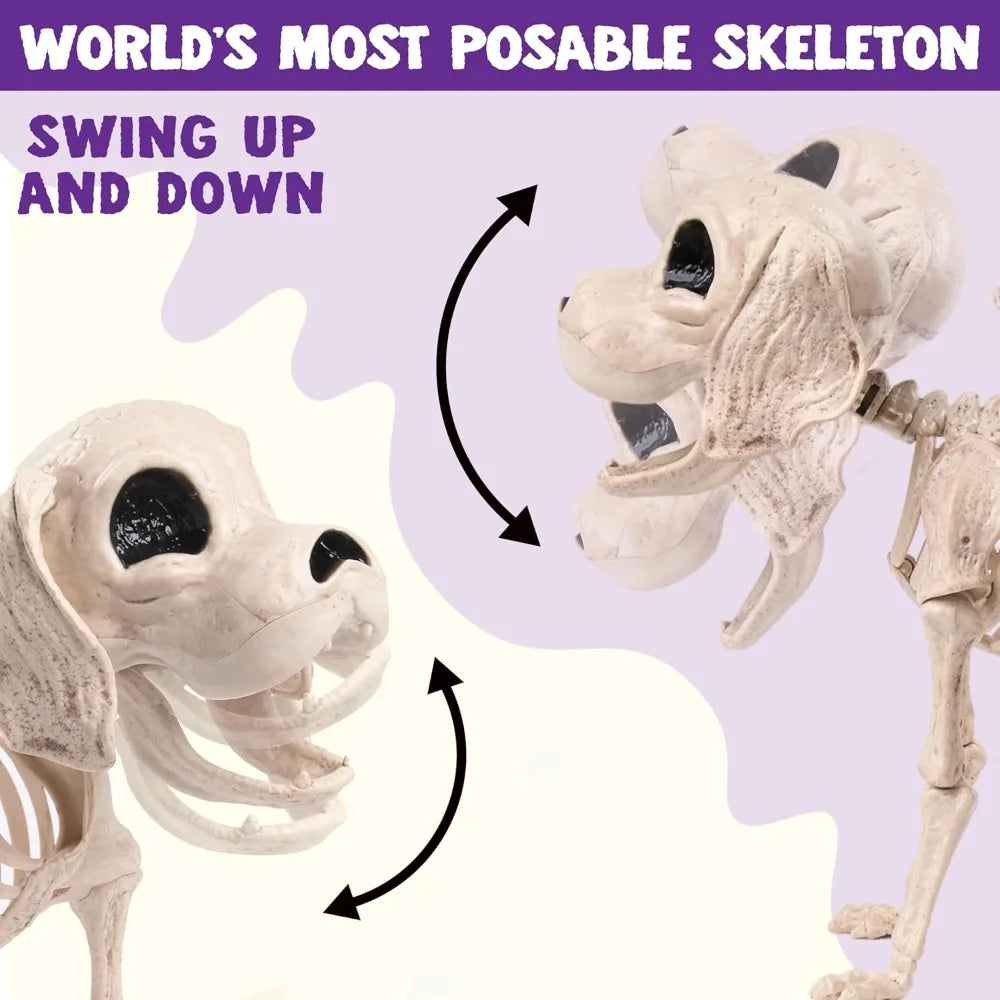 Halloween Dog Skeleton | Poseable Full Body | Realistic Design | Small 12 Inch