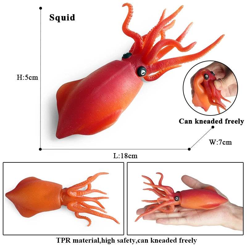 Educational Marine Life Model Set Squid And Octopus Growth Cycle Simulation For Kids - ToylandEU