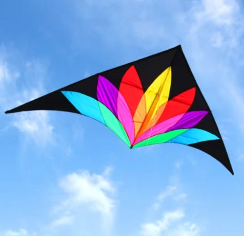 Large Delta Kite for Kids with 100m Handle Line and CE/EN71 Certificates ToylandEU.com Toyland EU