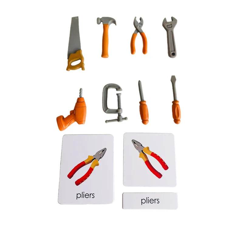 Montessori Language Materials Models of Human Organ Handware Tool Instrument Flower W 3-Part Cards Kids Learning Resources - ToylandEU