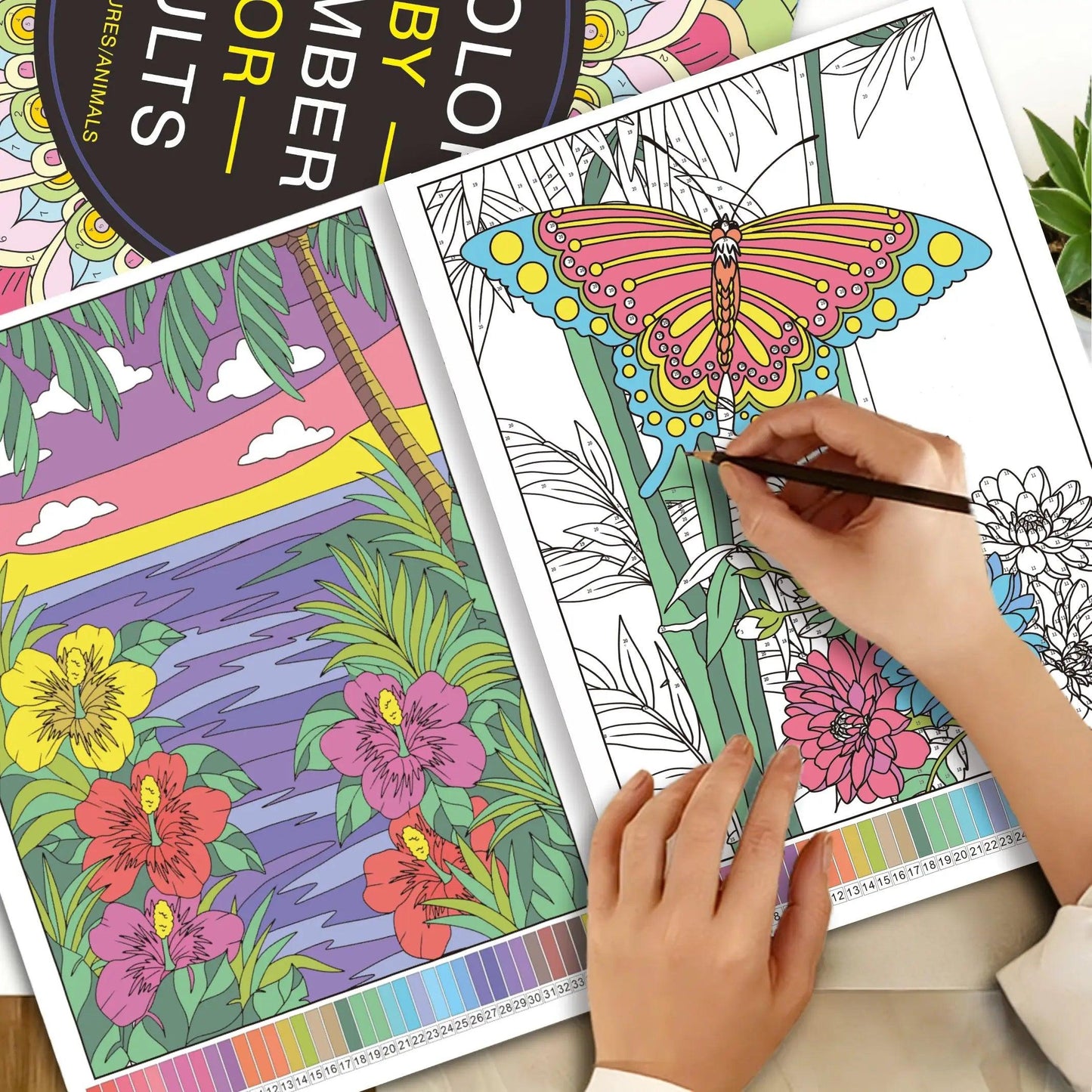Adult Color By Number | Flower Patterns | Toylandeu™