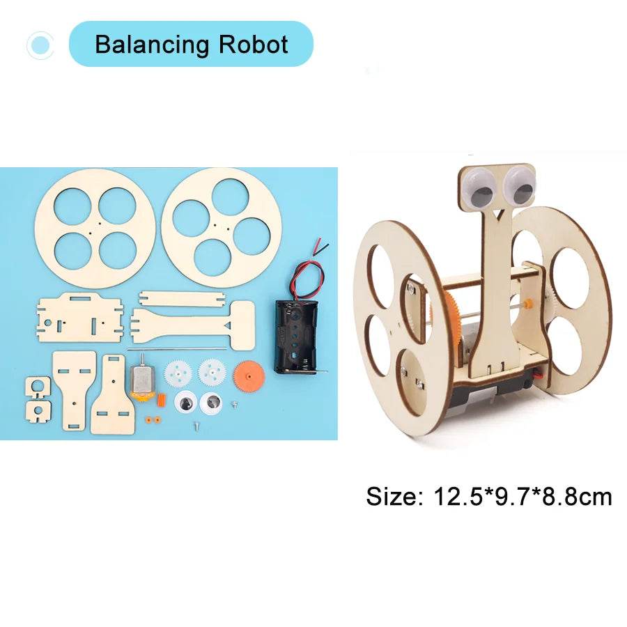 DIY Physical Model Science Experiment Educational Toy for Kids - ToylandEU