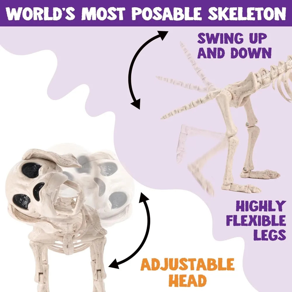 Halloween Dog Skeleton | Poseable Full Body | Realistic Design | Small 12 Inch