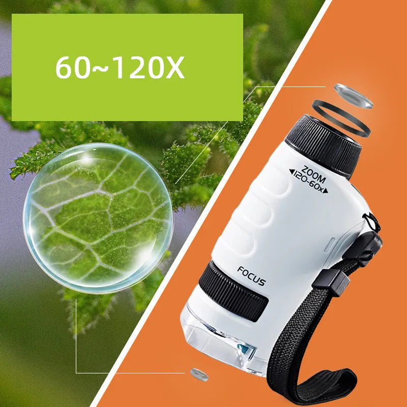 Children's Portable Handheld Microscope for Biology Education - ToylandEU