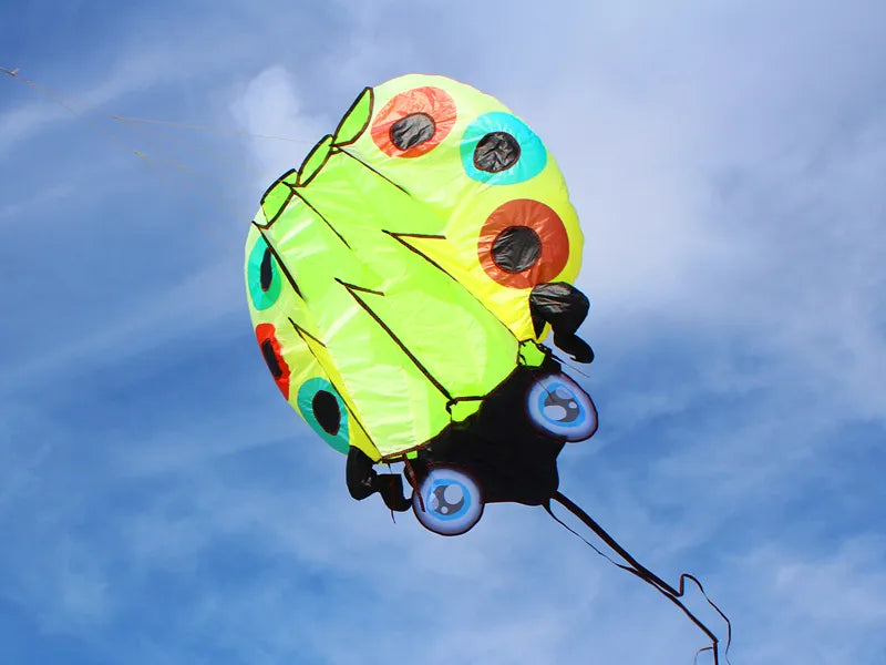 Large Ladybug 3D Soft Kite with Free Shipping for Outdoor Flying - ToylandEU